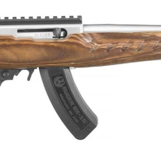 Ruger 22 Charger