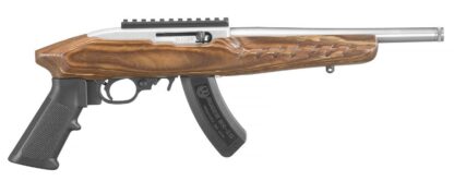 Ruger 22 Charger