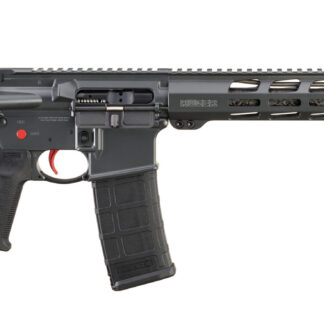 Ruger AR-556 MPR