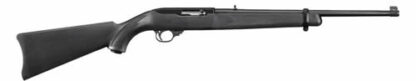 Ruger 10/22 Carbine