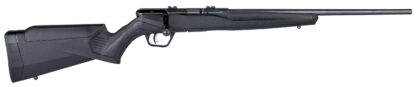 Savage Arms B22MAGF