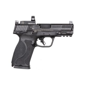 Smith and Wesson M&P10mm M2.0