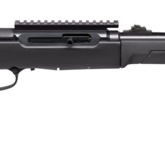 Savage Arms A22 Takedown