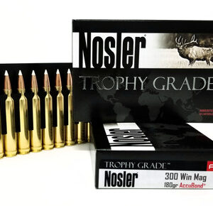 Nosler .300 Win Mag 180 Grain AccuBond Ballistic Tip - 20 Rounds