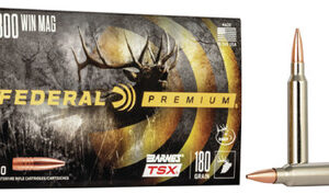 Federal .300 Win Mag 180 Grain TSX Hollow Point - 20 Rounds