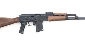 Chiappa Firearms 500.103 RAK-22 Rifle .22LR 17.25" 10+1 Wood/Blued