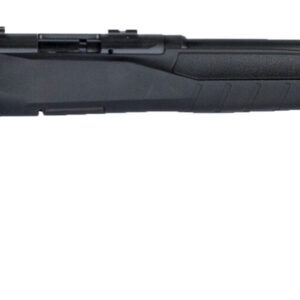 SAV B17F 17HMR BA RFL 10RD