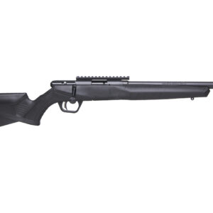 SAV B17FVSR 17HMR BA RFL 10RD
