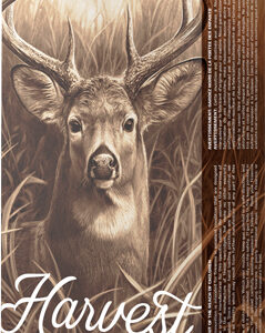 BARNES HARVEST 6.5 PRC 145GR - TIPPED GAMEKING 20RD 10BX/CS