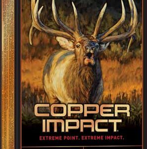 WINCHESTER COPPER IMPACT 300 - WIN MAG 180GR 20RD 10BX/CS