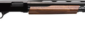 WINCHESTER SXP HIGH GRADE 20GA - 3" 26"VR WALNUT HIGH GLOSS