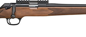 SPRINGFIELD 2020 RIMFIRE 22LR - 20" 10RND GRADE AA WLNT/BLUED