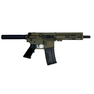 ^223WYLDE PSTL 30RD ODG