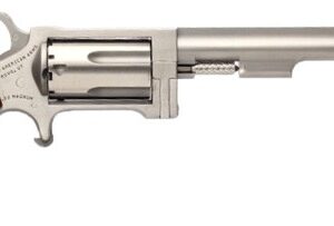 NAA SIDEWINDER 22WMR 4" - SWINGOUT CYLINDER S/S MAT WOO
