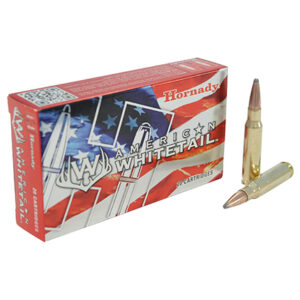 HORNADY 300WIN MAG 180GR SP AW