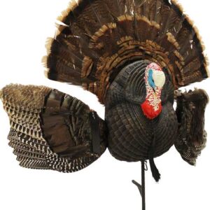 MOJO SCOOT N SHOOT MAX TURKEY - DECOY