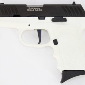 SCCY DVG-1CBWT 9mm 10+1 3.1" Black/White