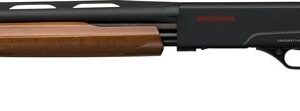 WINCHESTER SXP YOUTH 12GA 3" - 24"VR MATTE BLACK WALNUT