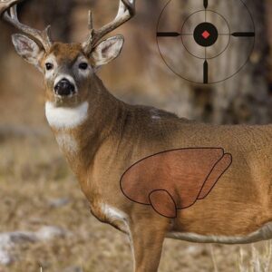 Birchwood Casey Pregame Targets - Deer 16.5"x24" 3 Pack