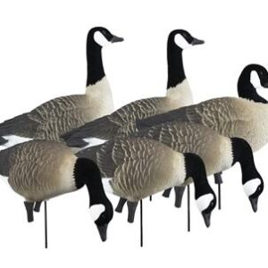 Higdon Outdoors APEX Full-Size Full-Body Variety Pack - Canada Goose