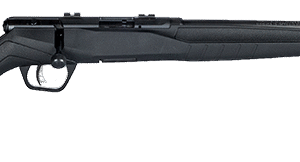 SAVAGE ARMS B17 COMPACT 17HMR BL/SYN 18"
