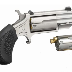 NAA MINI REVLVR PUG DC CONV 22LR/MAG 1" XS SIGHTS