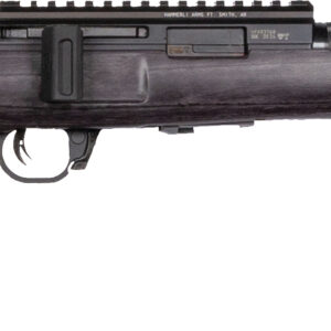 WAI HAM FRC B1 22LR GRY 10RD