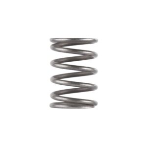 Dead Air Piston Spring for Ghost Odessa and Mojave 9