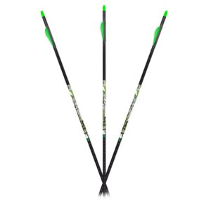 Carbon Express D-Stroyer Piledriver Arrows 400 Spines 6 Pack Fletched