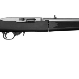 RUG 10/22-TD 22LR SS BLK SYN