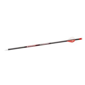 Bloodsport Judgement Arrow 400 Spine 6/pk