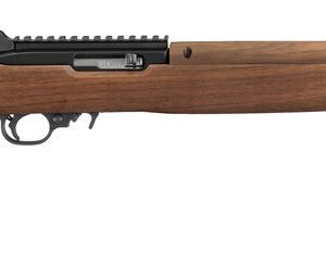 RUG 10/22 22LR 10 M1 SK TL