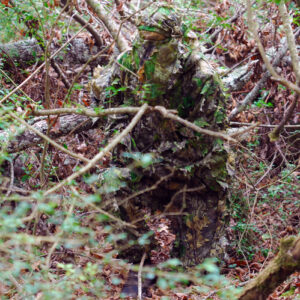 TITAN LEAFY SUIT MOSSY OAK - OBSESSION NWTF L/XL PANTS/TOP