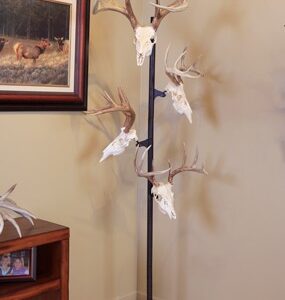 SKULL HOOKER TROPHY TREE W/ 5 - BRACKETS CUSTOMIZABLE DISPLAY